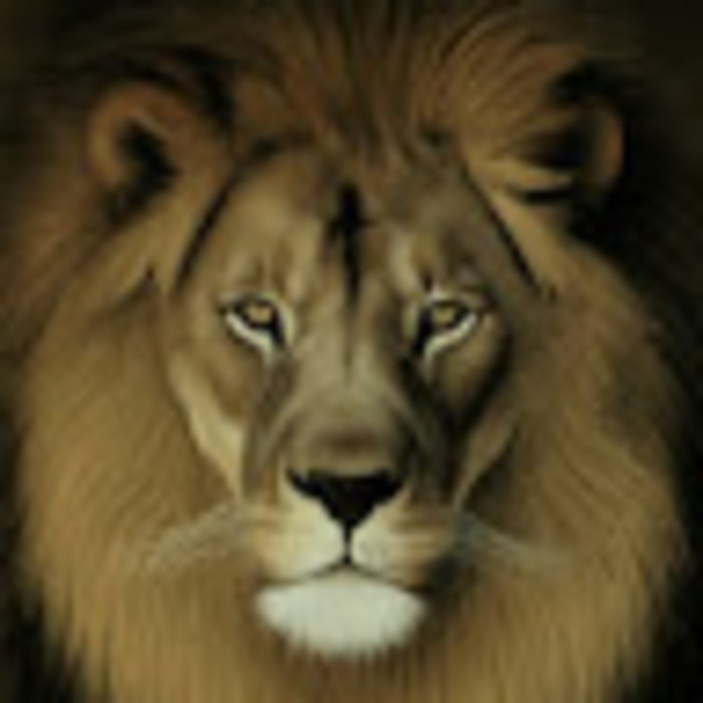 Meet your Posher, Leon